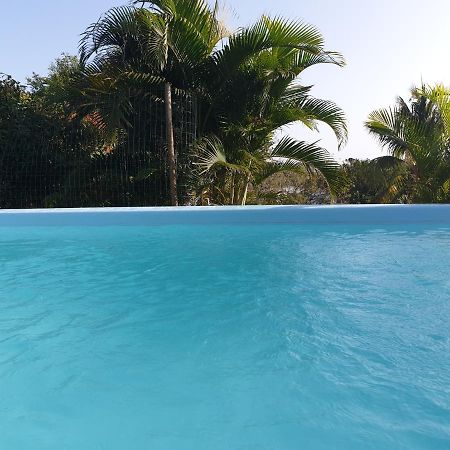 Le Goyav' Appart Avec Piscine Et Jacuzzi Au Vauclin Le Vauclin Ngoại thất bức ảnh